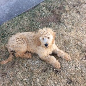 Meet your Posher, Donna